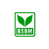 RSBM